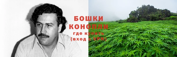 гидра Алексин