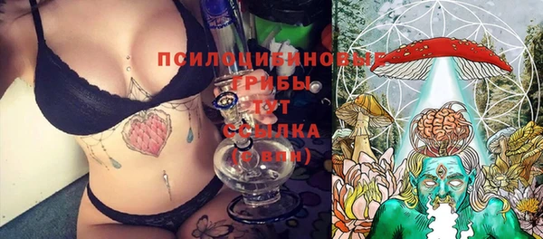 гидра Алексин