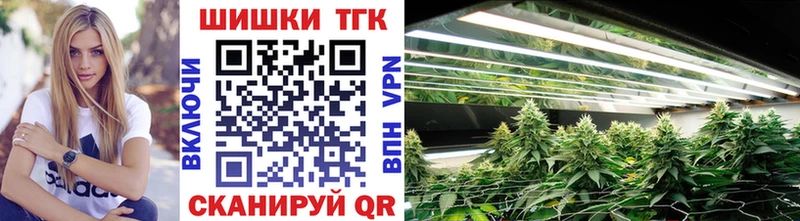 купить наркотики цена  Плавск  Бошки Шишки ГИДРОПОН 